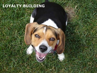 LOYALTY BUILDING 