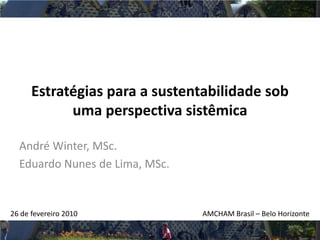Estratégias para a sustentabilidade sob
            uma perspectiva sistêmica

  André Winter, MSc.
  Eduardo Nunes de Lima, MSc.


26 de fevereiro 2010            AMCHAM Brasil – Belo Horizonte
 