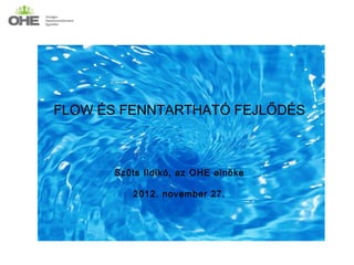 FLOW ÉS FENNTARTHATÓ FEJLŐDÉS



       Szűts Ildikó, az OHE elnöke
                 Szűts Ildikó
                    elnök
            2012. november 27.
     Országos Humánmenedzsment Egyesület

              2012. november 27.
 