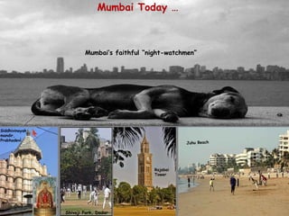 Juhu Beach  Siddhivinayak mandir, Prabhadevi Rajabai Tower  Shivaji Park, Dadar Mumbai’s faithful “night-watchmen” 