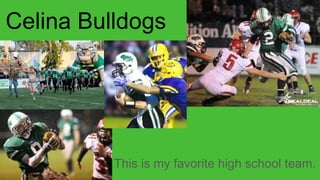 Celina Bulldogs
This is my favorite high school team.
 