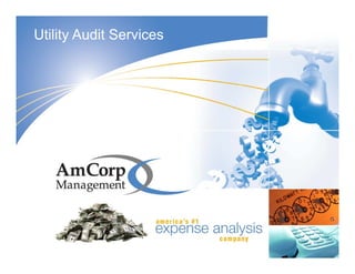 Utility Audit Services
 
