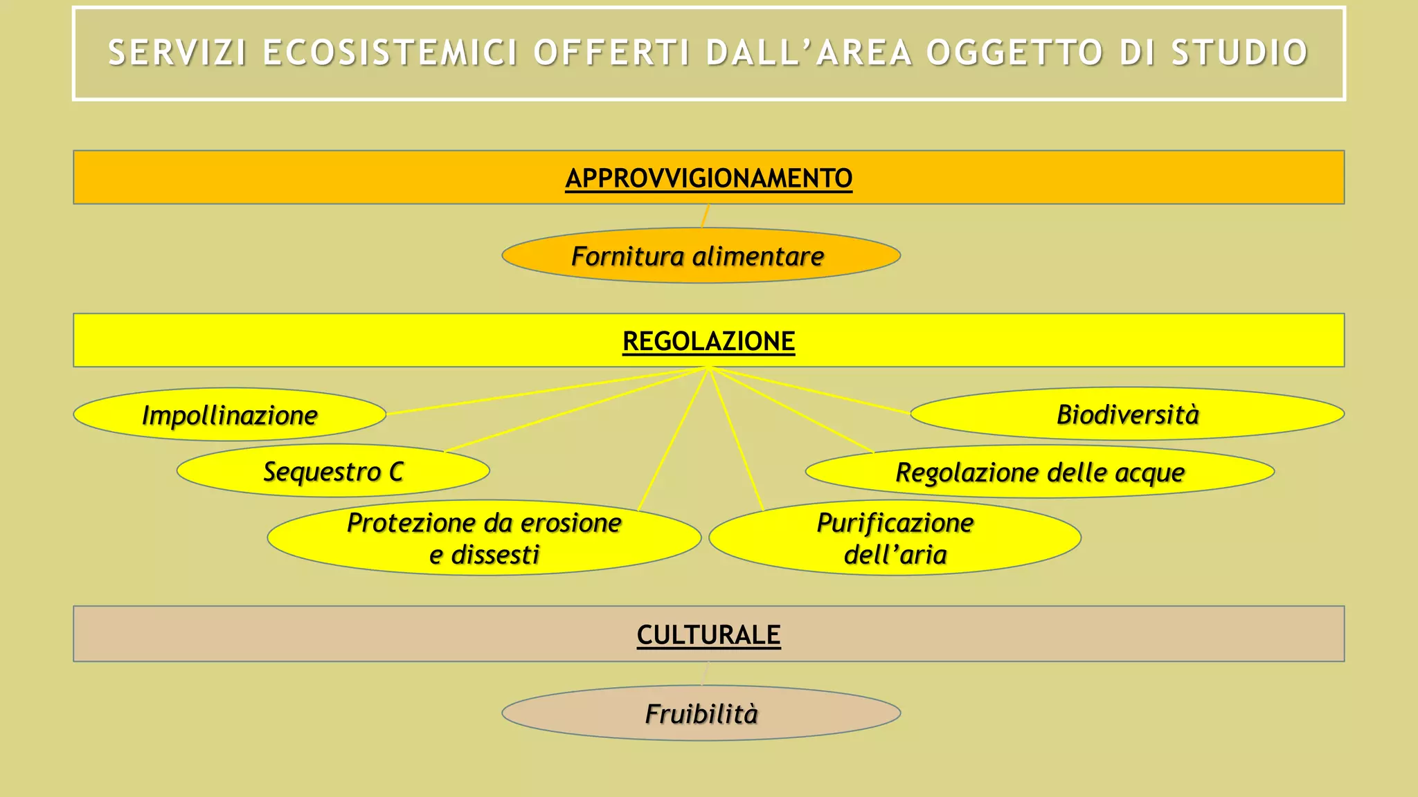 SERVIZI ECOSISTEMICI OFFERTI DALL’AREA OGGETTO DI STUDIO
APPROVVIGIONAMENTO
REGOLAZIONE
CULTURALE
Fornitura alimentare
Impollinazione
Sequestro C
Protezione da erosione
e dissesti
Purificazione
dell’aria
Regolazione delle acque
Biodiversità
Fruibilità
 
