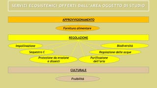 SERVIZI ECOSISTEMICI OFFERTI DALL’AREA OGGETTO DI STUDIO
APPROVVIGIONAMENTO
REGOLAZIONE
CULTURALE
Fornitura alimentare
Impollinazione
Sequestro C
Protezione da erosione
e dissesti
Purificazione
dell’aria
Regolazione delle acque
Biodiversità
Fruibilità
 
