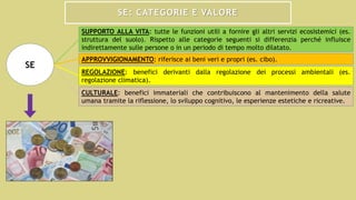 SE: CATEGORIE E VALORE
SUPPORTO ALLA VITA: tutte le funzioni utili a fornire gli altri servizi ecosistemici (es.
struttura del suolo). Rispetto alle categorie seguenti si differenzia perché influisce
indirettamente sulle persone o in un periodo di tempo molto dilatato.
APPROVVIGIONAMENTO: riferisce ai beni veri e propri (es. cibo).
REGOLAZIONE: benefici derivanti dalla regolazione dei processi ambientali (es.
regolazione climatica).
CULTURALE: benefici immateriali che contribuiscono al mantenimento della salute
umana tramite la riflessione, lo sviluppo cognitivo, le esperienze estetiche e ricreative.
SE
 