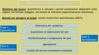 OBIETTIVO E SCHEMA PROCESSUALE
Obiettivo del lavoro: quantificare e valutare i servizi ecosistemici disponibili nella
regione territoriale indagata, servendosi di indicatori opportunamente selezionati.
Metodo per giungere al target: analisi multicriteri spazializzata (AMCS).
Giudizio del servizio ecosistemico analizzato
Aggregazione
Standardizzazione e assegnazione dei pesi
Acquisizione ed elaborazione dei dati
Definizione del «problema»
Fase 1.
Quantificare
Fase 2.
Normalizzare
Fase 3.
Spazializzare
 