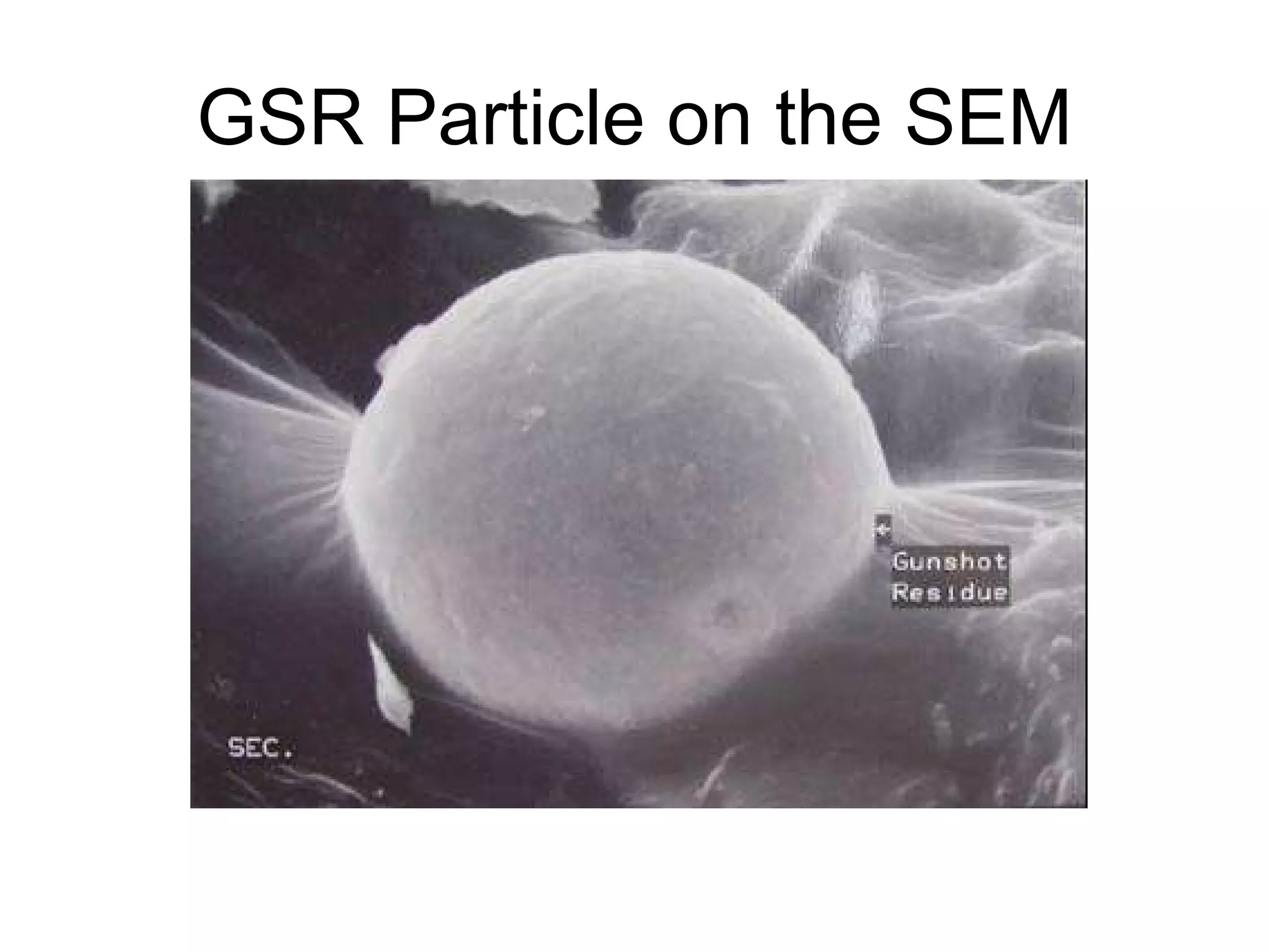 GSR Particle on the SEM 