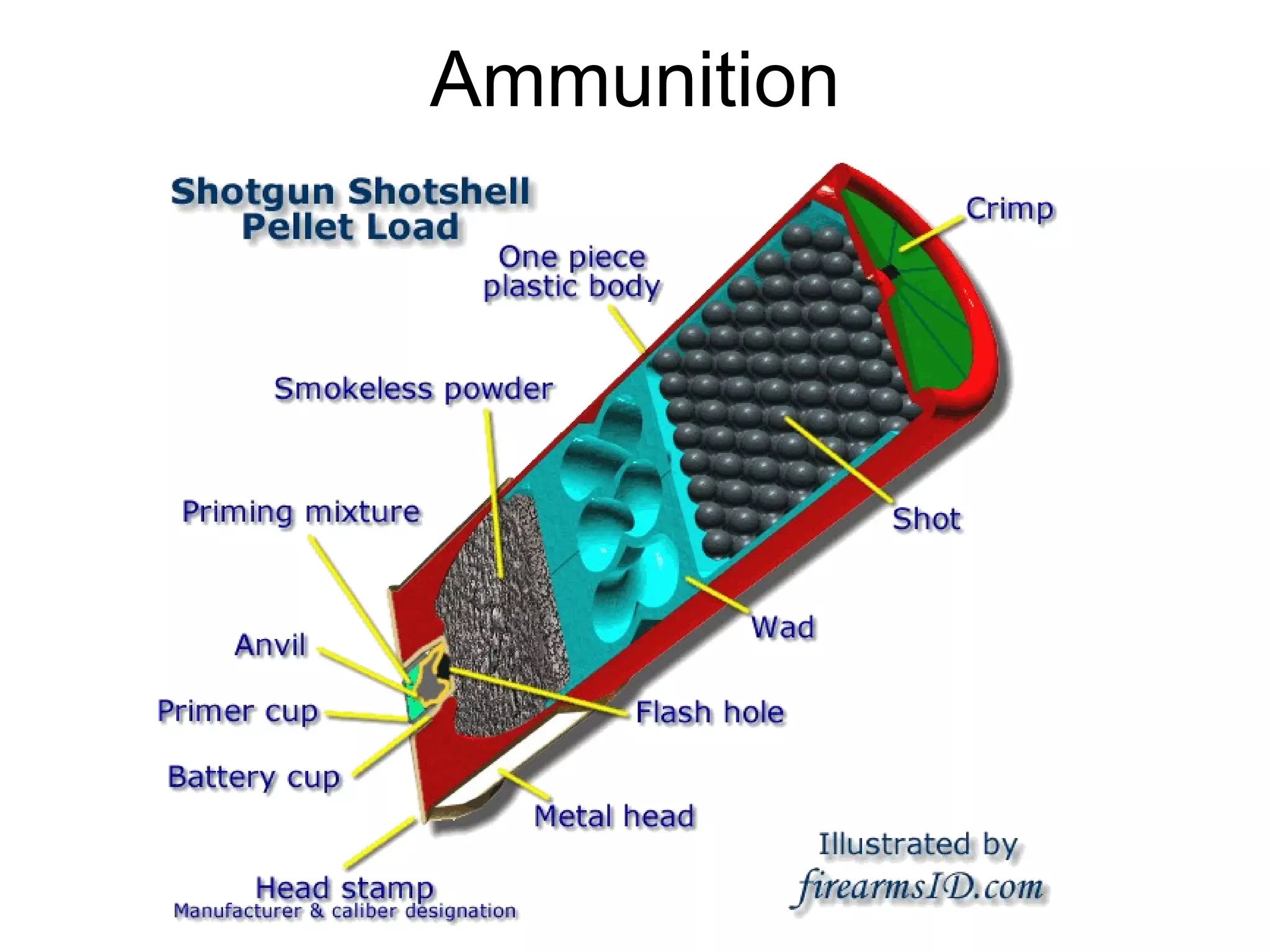 Ammunition 
