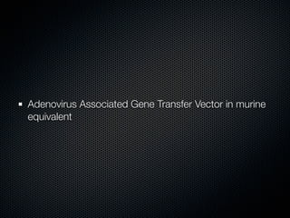 Adenovirus Associated Gene Transfer Vector in murine
equivalent
 