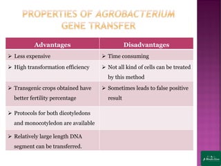 Advantages Disadvantages
➢ Less expensive ➢ Time consuming
➢ High transformation efficiency ➢ Not all kind of cells can be treated
by this method
➢ Transgenic crops obtained have
better fertility percentage
➢ Sometimes leads to false positive
result
➢ Protocols for both dicotyledons
and monocotyledon are available
➢ Relatively large length DNA
segment can be transferred.
 