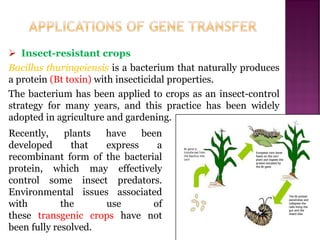 ➢ Insect-resistant crops
Bacillus thuringeiensis is a bacterium that naturally produces
a protein (Bt toxin) with insecticidal properties.
The bacterium has been applied to crops as an insect-control
strategy for many years, and this practice has been widely
adopted in agriculture and gardening.
Recently, plants have been
developed that express a
recombinant form of the bacterial
protein, which may effectively
control some insect predators.
Environmental issues associated
with the use of
these transgenic crops have not
been fully resolved.
 
