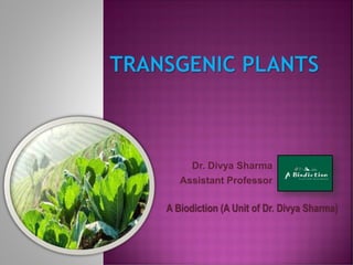 Dr. Divya Sharma
Assistant Professor
A Biodiction (A Unit of Dr. Divya Sharma)
 