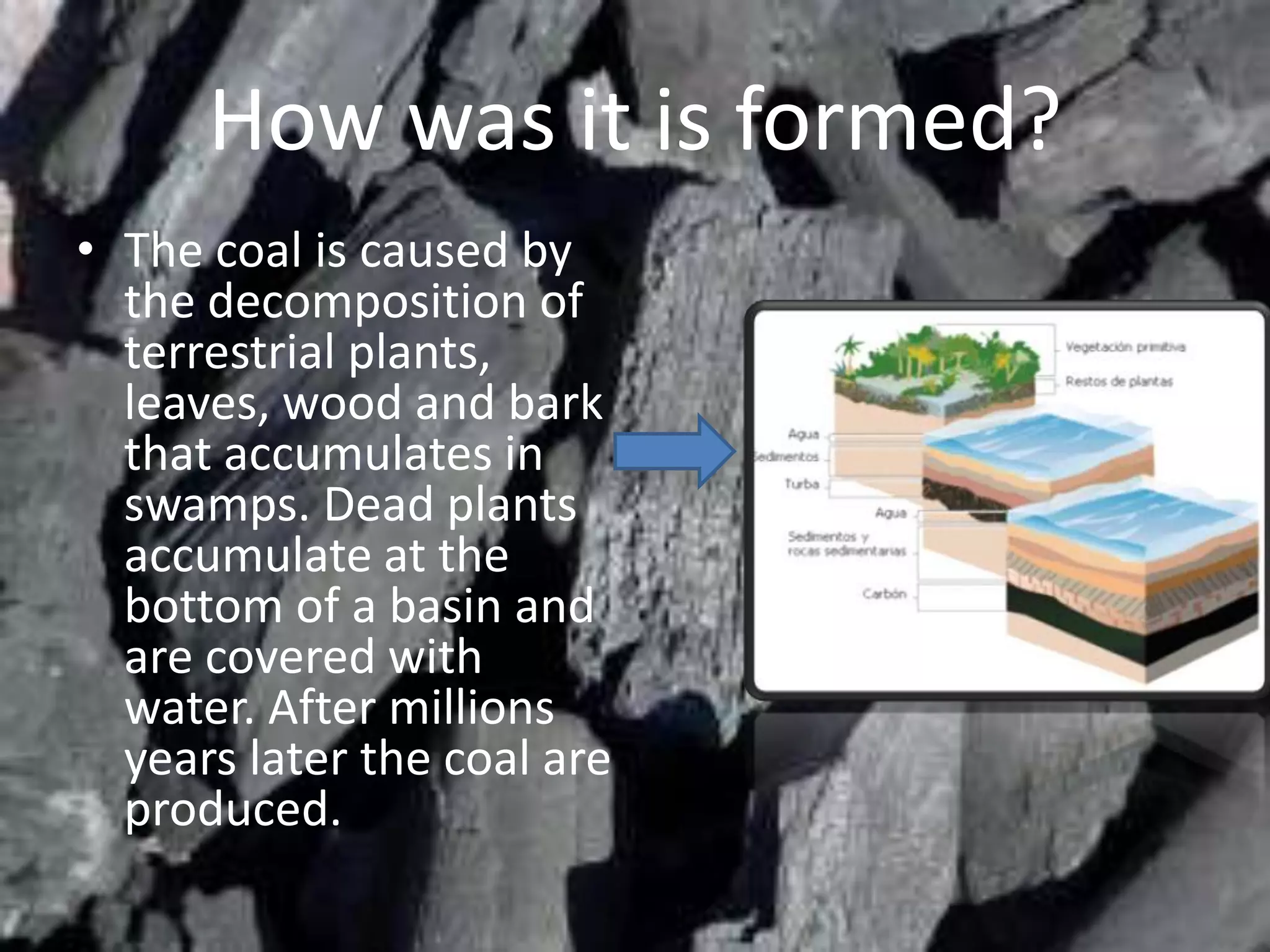 How was it is formed?
• The coal is caused by
  the decomposition of
  terrestrial plants,
  leaves, wood and bark
  that accumulates in
  swamps. Dead plants
  accumulate at the
  bottom of a basin and
  are covered with
  water. After millions
  years later the coal are
  produced.
 