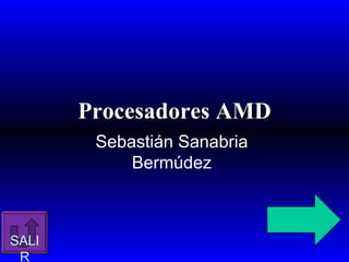 Procesadores AMD
        Sebastián Sanabria
            Bermúdez



SALI
 R
 