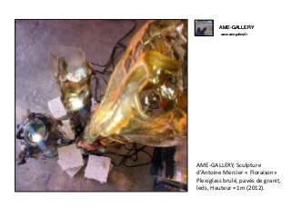 AME-GALLERY
www.ame-gallery.fr
AME-GALLERY, Sculpture
d’Antoine Mercier « Floraison»
Plexiglass brulé, pavés de granit,
leds, Hauteur =1m (2012).
AME-GALLERY
www.ame-gallery.fr
 