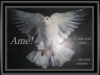 A vida sem amor...  Ame! ... não tem sentido ! 