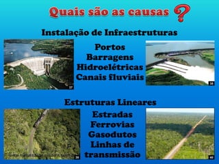 Estradas
Ferrovias
Gasodutos
Linhas de
transmissão
Portos
Barragens
Hidroelétricas
Canais fluviais
Instalação de Infraestruturas
Estruturas Lineares
40
38
39
37
 