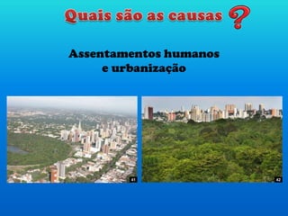 Assentamentos humanos
e urbanização
41 42
 