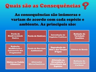 As consequências são inúmeras e
variam de acordo com cada espécie e
ambiente. As principais são:
Perda de
Biodiversidade
Nativa
Perda de Habitats
Introdução de
Espécies Exóticas
Redução da
Variedade
Genética
Redução,
Modificação e
Isolamento dos
Fragmentos
Perda de Serviços
Ambientais
Degradação do
Solo e dos Corpos
D’água
Efeitos de Borda
Efeitos na Cadeia
Alimentar
Alterações
Microclimáticas
Alteração na
Diversidade e
Abundância das
Espécies
Redução da
Absorção de
Carbono
 