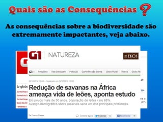 As consequências sobre a biodiversidade são
extremamente impactantes, veja abaixo.
 