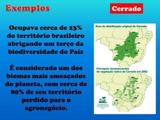 Cerrado
Ocupava cerca de 23%
do território brasileiro
abrigando um terço da
biodiversidade do País
É considerado um dos
biomas mais ameaçados
do planeta, com cerca de
80% de seu território
perdido para o
agronegócio.
 