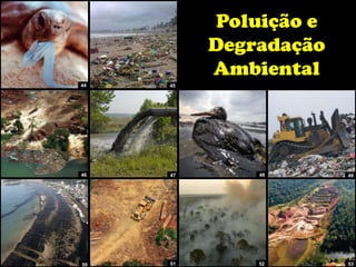 Poluição e
Degradação
Ambiental
44 45
50 51 52 53
46 47 48 49
 
