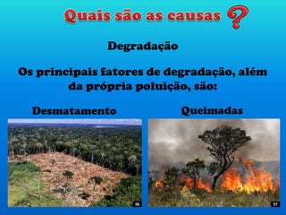 Degradação
Os principais fatores de degradação, além
da própria poluição, são:
Desmatamento Queimadas
5756
 