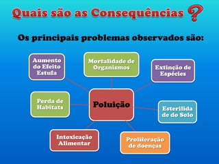 Os principais problemas observados são:
Poluição
Mortalidade de
Organismos Extinção de
Espécies
Esterilida
de do Solo
Proliferação
de doenças
Intoxicação
Alimentar
Perda de
Habitats
Aumento
do Efeito
Estufa
 