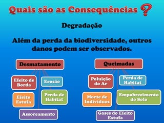 Degradação
Além da perda da biodiversidade, outros
danos podem ser observados.
Desmatamento
Perda de
Habitat
Assoreamento
Erosão
Efeito
Estufa
Efeito de
Borda
Queimadas
Empobrecimento
do Solo
Gases do Efeito
Estufa
Perda de
Habitat
Morte de
Indivíduos
Poluição
do Ar
 