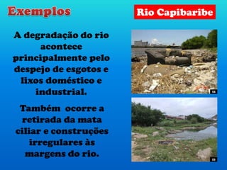 A degradação do rio
acontece
principalmente pelo
despejo de esgotos e
lixos doméstico e
industrial.
Também ocorre a
retirada da mata
ciliar e construções
irregulares às
margens do rio.
Rio Capibaribe
59
58
 