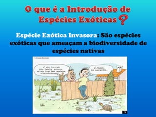 Espécie Exótica Invasora: São espécies
exóticas que ameaçam a biodiversidade de
espécies nativas
75
 