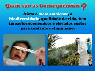 Afeta o meio ambiente, a
biodiversidade, qualidade de vida, tem
impactos econômicos e elevados custos
para controle e eliminação.
78 79
 