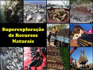 Superexploração
de Recursos
Naturais
83 84
89
111 86
90 91 111
87 88
85
92
 