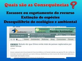 Escassez ou esgotamento do recurso
Extinção de espécies
Desequilíbrio do ecológico e ambiental
 