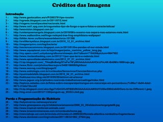 Créditos das Imagens
Introdução
1 - http://www.geolocation.ws/v/P/2003791/ipe-roxo/en
2 - http://ogneda.blogspot.com.br/2011/07/2.html
3 - http://viagens.travel/pacotes/nacionais.html
4 - http://www.not1.xpg.com.br/cogumelos-tipo-de-fungo-o-que-e-fotos-e-caracteristicas/
5 - http://weovision.blogspot.com.br/
6 - http://umtempoemangola.blogspot.com.br/2010/08/o-oceano-nos-separa-mas-estamos-mais.html
7 - http://www.wallsonline.net/frogs-redeyed-tree-frog-amphibians-wallpaper/
8 - http://bilder.4ever.eu/tiere/wasserleben/orca-151398
9 - http://arslitterayelizus.blogspot.com.br/2010_12_01_archive.html
10 - http://megaarquivo.com/tag/bacteria/
11 - http://esciencecommons.blogspot.com.br/2013/01/the-pandas-of-our-minds.html
12 - http://www.aquaplanet.com.br/loja/images/peixe_marinho_yellow_tang.jpg
13 - http://my.opera.com/Luckyduong/albums/showpic.dml?album=718426&picture=9847902
14 - http://www.risolandiaoblog.com.br/2012/11/por-que-terra-e-redonda.html
15 - http://www.aprendizdecabeleireira.com/2012_07_01_archive.html
16 - http://3.bp.blogspot.com/_Tf4aqBxBwtg/S7wFw79FyWI/AAAAAAAAHCk/cPAJ4K-BA0M/s1600/caju.jpg
17 - http://www.flickr.com/photos/dearaujors/3408156808/lightbox/
18 - http://www.seaveg.com/blog/page/2/
19 - http://www.sobiologia.com.br/conteudos/Seresvivos/Ciencias/biovirus.php
20 - http://queimadelafafe.blogspot.com.br/2010_04_01_archive.html
21 - http://kaktusarnica.blog.mk/2010/05/20/dzhinot-od-arizona/
22 - http://www.jaguar.org.br/pt/sobre-nos/onde-trabalhamos/caatinga/index.html
23 - http://topicos.estadao.com.br/fotos-sobre-macaparaipe/mangue-em-macaraipe-em-pernambuco,f1c8fec7-8a04-4da2-
9973-37dda72bcc02
24 - http://4.bp.blogspot.com/-zksv5gp7UG4/UHvHFBiEkRI/AAAAAAAAIK0/dYiU0lwS90A/s640/Dare-to-be-Different-1.jpeg
25 - http://img.emol.com/2012/11/20/penguin-ap_85353-L0x0.jpg
Perda e Fragmentação de Habitats
26 - http://kalyanvarma.net/essays/scars/
27 - http://www.greenpeace.org.br/slideshow/amazonia/2008_03_05/slideshow/large/gde09.jpg
28 - http://www.tropical-rainforest-animals.com/
29 - http://www.brasmicmineracao.com.br/conteudo/home.jpg
30 - http://cienciahoje.uol.com.br/revista-ch/revista-ch-2009/263/floresta-atlantica-nordestina-fragmentacao
31 - http://www.domtotal.com/img/noticias/2011-06/341662_67644.jpg
 