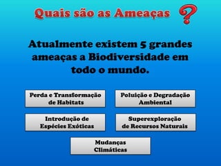 Poluição e Degradação
Ambiental
Superexploração
de Recursos Naturais
Perda e Transformação
de Habitats
Introdução de
Espécies Exóticas
Mudanças
Climáticas
Atualmente existem 5 grandes
ameaças a Biodiversidade em
todo o mundo.
 