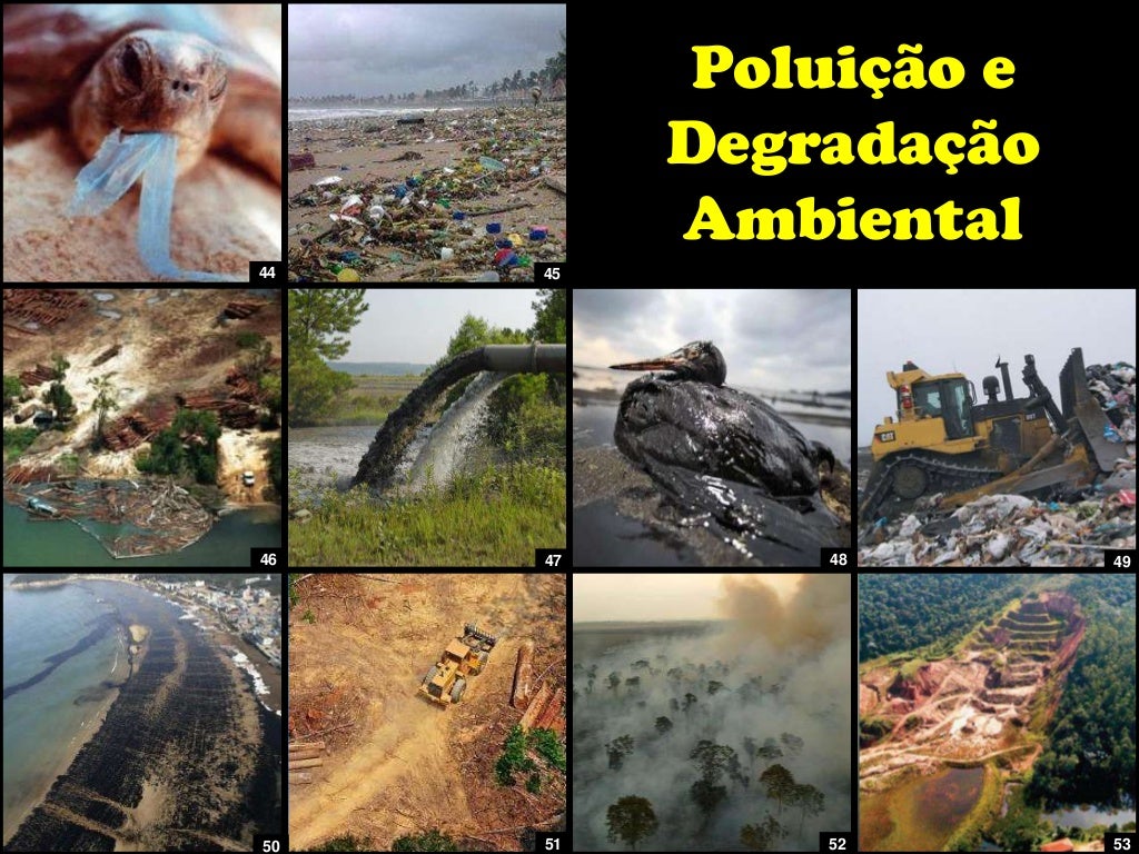 Ameaças à Biodiversidade