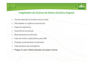 Fragilidades do Sistema de Defesa Sanitária Vegetal 
• Grande extensão de fronteira seca e úmida 
• Dificuldades na vigilância internacional 
• Aspectos legislativos 
• Insuficiência de pessoal 
• Rede laboratorial insuficiente 
• Falta de centros colaboradores para ARP 
• Estações quarentenárias insuficientes 
• Falta de planos de contingência 
• Pragas A1 para o Brasil presentes nos países vizinhos 
 