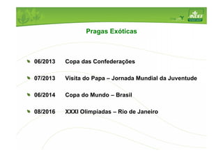 Pragas Exóticas 
06/2013 Copa das Confederações 
07/2013 Visita do Papa – Jornada Mundial da Juventude 
06/2014 Copa do Mundo – Brasil 
08/2016 XXXI Olimpíadas – Rio de Janeiro 
 