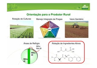 Orientação para o Produtor Rural 
Rotação de Culturas Manejo Integrado de Pragas Vazio Sanitário 
Áreas de Refúgio Rotação de Ingredientes Ativos 
 