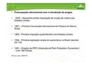 • Preocupação internacional com a introdução de pragas. 
• 1878 – Alemanha proíbe importação de mudas de videira dos 
Estados Unidos 
• 1881 – Primeira Convenção Internacional da Filoxera em Berna, 
Suíça 
• 1902 - Primeira inspeção quarentenária nos Estados Unidos 
• 1934 - Primeira legislação ampla de quarentena no Brasil (decreto 
24.114) 
• 1951 - Criação da IPPC (International Plant Protection Convention) 
– com 160 Países. 
Marcelo Lopes - EMBRAPA 
 
