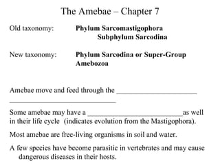 The Amebae – Chapter 7 Old taxonomy: Phylum Sarcomastigophora  Subphylum Sarcodina New taxonomy: Phylum Sarcodina or Super-Group  Amebozoa Amebae move and feed through the ______________________ _____________________________ Some amebae may have a __________________________as well in their life cycle   (indicates evolution from the Mastigophora). Most amebae are free-living organisms in soil and water. A few species have become parasitic in vertebrates and may cause  dangerous diseases in their hosts.   