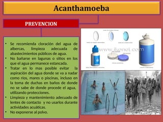 PREVENCION
• Se recomienda cloración del agua de
albercas, limpieza adecuada de
abastecimientos públicos de agua.
• No bañarse en lagunas o sitios en los
que el agua permanece estancada.
• Tratar en lo mas posible evitar la
aspiración del agua donde se va a nadar
como ríos, mares o piscinas, incluso en
la toma de duchas en baños de donde
no se sabe de donde procede el agua,
utilizando protecciones.
• Limpieza y mantenimiento adecuado de
lentes de contacto y no usarlos durante
actividades acuáticas.
• No exponerse al polvo.
 