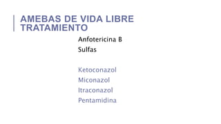 AMEBAS DE VIDA LIBRE
TRATAMIENTO
Anfotericina B
Sulfas
Ketoconazol
Miconazol
Itraconazol
Pentamidina