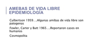 AMEBAS DE VIDA LIBRE
EPIDEMIOLOGÍA
Culbertson 1959….Algunas amibas de vida libre son
patogenas
Fowler, Carter y Butt 1965….Reportaron casos en
humanos
Cosmopolita