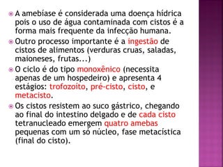 A  amebíase é considerada uma doença hídrica
  pois o uso de água contaminada com cistos é a
  forma mais frequente da infecção humana.
 Outro processo importante é a ingestão de
  cistos de alimentos (verduras cruas, saladas,
  maioneses, frutas...)
 O ciclo é do tipo monoxênico (necessita
  apenas de um hospedeiro) e apresenta 4
  estágios: trofozoíto, pré-cisto, cisto, e
  metacisto.
 Os cistos resistem ao suco gástrico, chegando
  ao final do intestino delgado e de cada cisto
  tetranucleado emergem quatro amebas
  pequenas com um só núcleo, fase metacística
  (final do cisto).
 