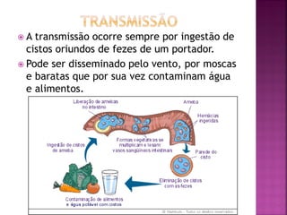 A  transmissão ocorre sempre por ingestão de
  cistos oriundos de fezes de um portador.
 Pode ser disseminado pelo vento, por moscas
  e baratas que por sua vez contaminam água
  e alimentos.
 