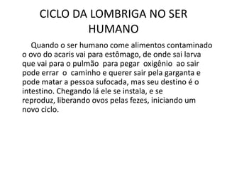 CICLO DA LOMBRIGA NO SER
            HUMANO
   Quando o ser humano come alimentos contaminado
o ovo do acaris vai para estômago, de onde sai larva
que vai para o pulmão para pegar oxigênio ao sair
pode errar o caminho e querer sair pela garganta e
pode matar a pessoa sufocada, mas seu destino é o
intestino. Chegando lá ele se instala, e se
reproduz, liberando ovos pelas fezes, iniciando um
novo ciclo.
 