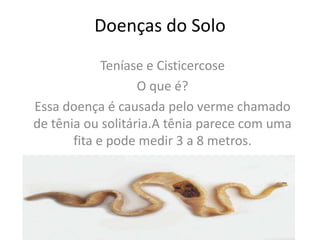 Doenças do Solo
             Teníase e Cisticercose
                   O que é?
Essa doença é causada pelo verme chamado
de tênia ou solitária.A tênia parece com uma
       fita e pode medir 3 a 8 metros.
 