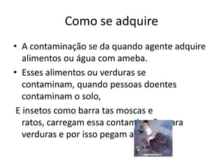 Como se adquire
• A contaminação se da quando agente adquire
   alimentos ou água com ameba.
• Esses alimentos ou verduras se
   contaminam, quando pessoas doentes
   contaminam o solo,
 E insetos como barra tas moscas e
   ratos, carregam essa contaminação para
   verduras e por isso pegam a ameba.
 